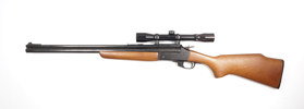 Hahn-Bockbüchsflinte Savage, Mod. 24, .22 Mag., 20/76, #E675073, §C