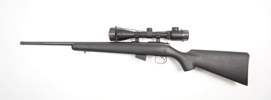CZ, Mod. 455, .17 HMR, #D020147, §C (1374-25)