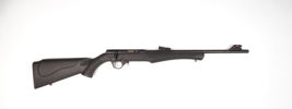 Rossi, Mod. 8122, .22lr., #LXG5141738, §C (3000-25)