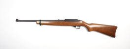 Selbstladebüchse Ruger, Mod. 10/22, .22lr., #244-87465, §B (3968-25)